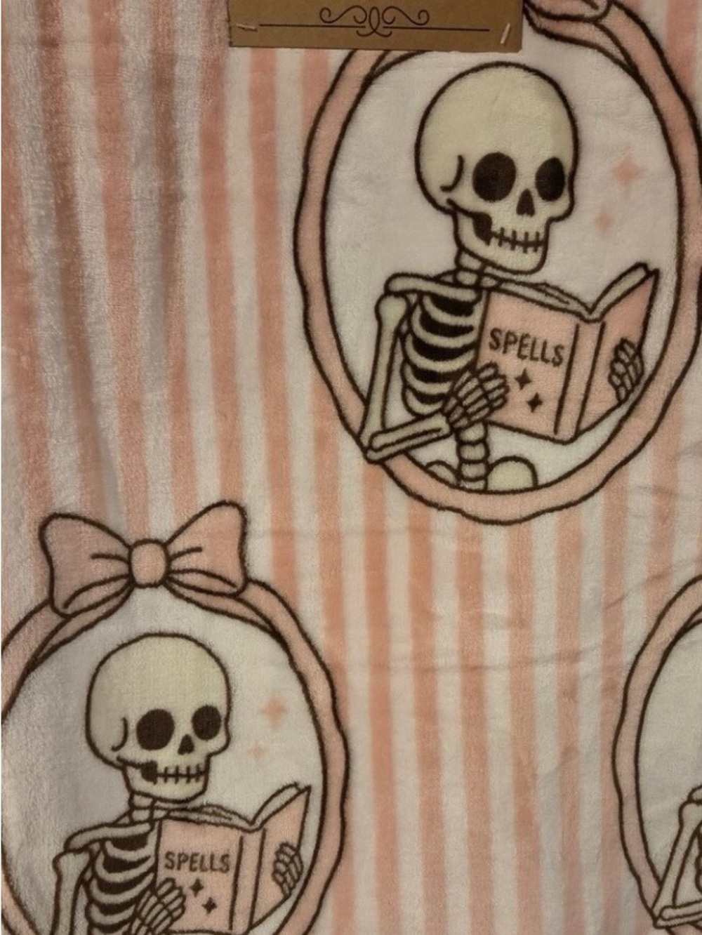 Happy Halloween BOO Pink Striped Skeleton Plush Throw Blanket
 50”X 70” (NWT) - Picture 4 of 6